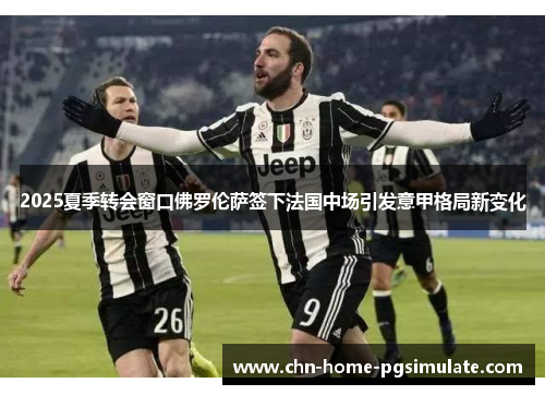 2025夏季转会窗口佛罗伦萨签下法国中场引发意甲格局新变化