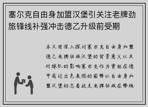 塞尔克自由身加盟汉堡引关注老牌劲旅锋线补强冲击德乙升级前受期 塞尔克自由身加盟汉堡引关注老牌劲旅锋线补强冲击德乙升级前受期